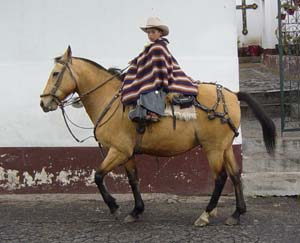 L'équitation de travail, de l'équitation western des cow boys américains à la culture des gauchos argentins en passant par la doma vaquera en Andalousie